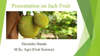 Presentation on Jack Fruit
 