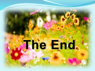 The End
The End
 