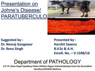 Presentation on
Johne’s Disease/
PARATUBERCULOSIS
Department of PATHOLOGY
U.P. Pt. Deen Dayal Upadhyay Pashu Chikitsa Vigyan Vishwavidyalaya Evam Go-Ansundhan
Sansthan,DUVASU Mathura
Suggested by :
Dr. Neeraj Gangawar
Dr. Renu Singh
Presented by :
Harshit Saxena
B.V.Sc & A.H.
Enroll. No. – V-1598/16
 