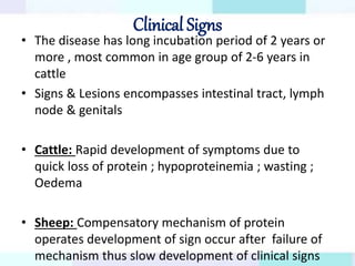 Clinical Signs
• The disease has long incubation period of 2 years or
more , most common in age group of 2-6 years in
cattle
• Signs & Lesions encompasses intestinal tract, lymph
node & genitals
• Cattle: Rapid development of symptoms due to
quick loss of protein ; hypoproteinemia ; wasting ;
Oedema
• Sheep: Compensatory mechanism of protein
operates development of sign occur after failure of
mechanism thus slow development of clinical signs
 
