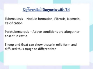 Differential Diagnosis with TB
Tuberculosis – Nodule formation, Fibrosis, Necrosis,
Calcification
Paratuberculosis – Above conditions are altogether
absent in cattle
Sheep and Goat can show these in mild form and
diffused thus tough to differentiate
 