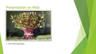 Presentation on Khat
 BY Farah Said Omar
 