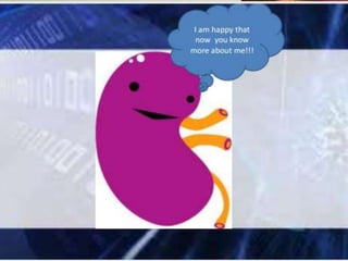  KIDNEY