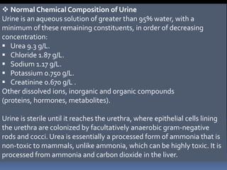  Normal Chemical Composition of Urine
Urine is an aqueous solution of greater than 95% water, with a
minimum of these remaining constituents, in order of decreasing
concentration:
 Urea 9.3 g/L.
 Chloride 1.87 g/L.
 Sodium 1.17 g/L.
 Potassium 0.750 g/L.
 Creatinine 0.670 g/L .
Other dissolved ions, inorganic and organic compounds
(proteins, hormones, metabolites).
Urine is sterile until it reaches the urethra, where epithelial cells lining
the urethra are colonized by facultatively anaerobic gram-negative
rods and cocci. Urea is essentially a processed form of ammonia that is
non-toxic to mammals, unlike ammonia, which can be highly toxic. It is
processed from ammonia and carbon dioxide in the liver.
 