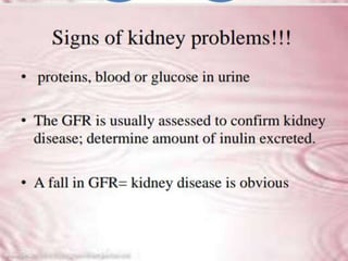  KIDNEY