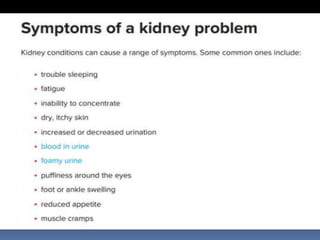  KIDNEY
