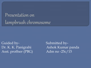 Guided by- Submitted by-
Dr. K. K. Panigrahi Ashok Kumar panda
Asst. proffser (PBG) Adm no -25c/15
 
