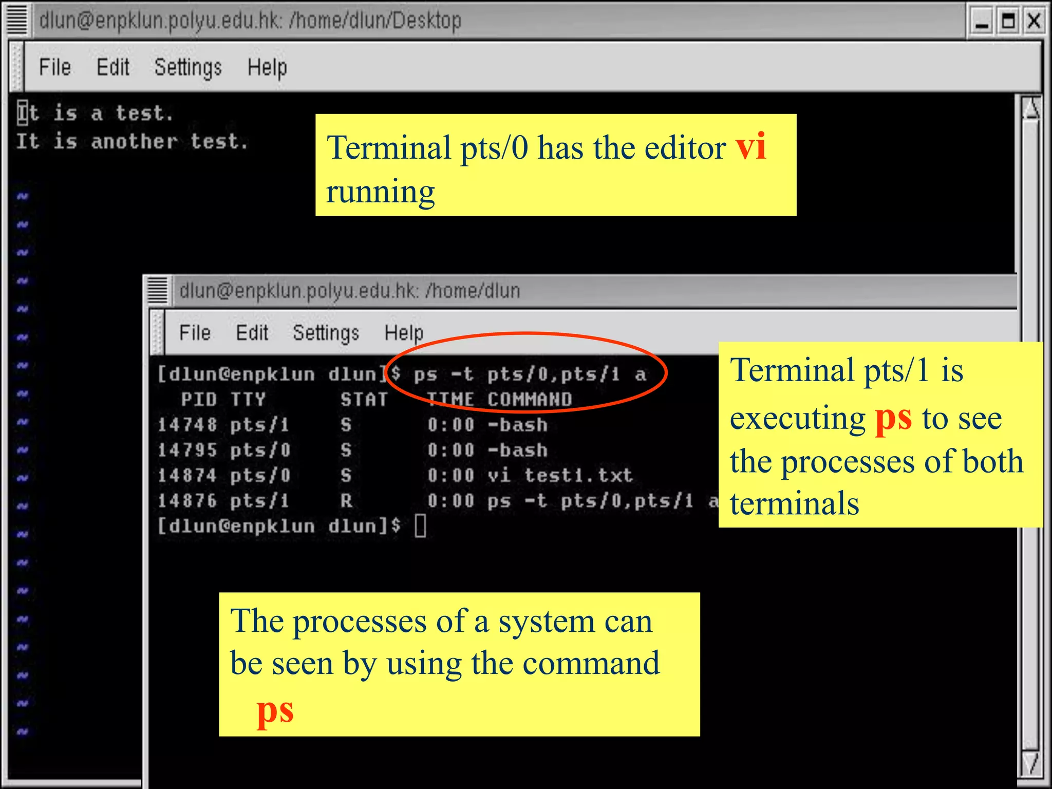 Terminal pts/0 has the editor vi
running

Terminal pts/1 is
executing ps to see
the processes of both
terminals

The processes of a system can
be seen by using the command

ps
96

 