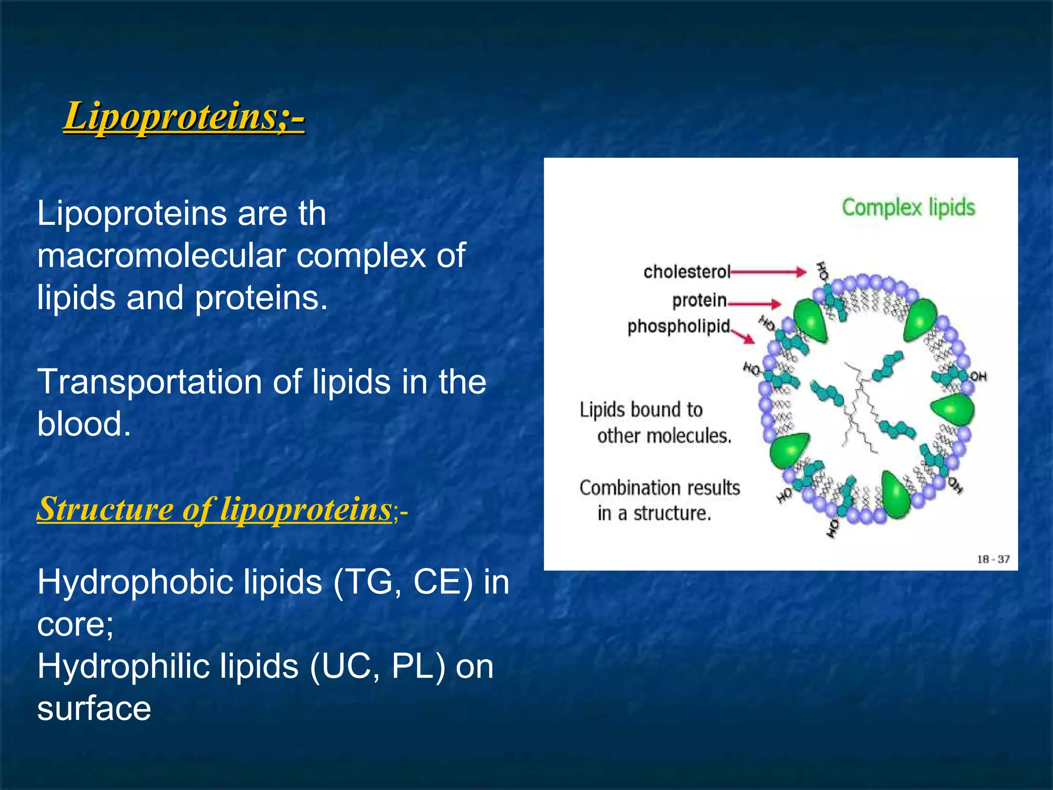 Lipoproteins;- Lipoproteins are th macromolecular complex of lipids and proteins. Transportation of lipids in the blood. Structure of lipoproteins ;- Hydrophobic lipids (TG, CE) in core; Hydrophilic lipids (UC, PL) on surface 