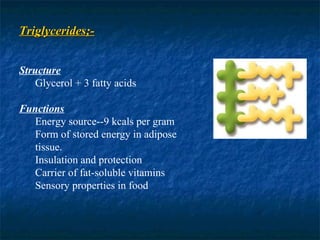 Triglycerides;- Structure Glycerol + 3 fatty acids Functions Energy source--9 kcals per gram Form of stored energy in adipose tissue. Insulation and protection Carrier of fat-soluble vitamins Sensory properties in food 