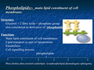 Phospholipids;-  main lipid constituent of cell membrane. Structure Glycerol + 2 fatty acids + phosphate group also considered as derivative of ‘ phosphatidic acid ’. Functions Main lipid constituent of cell membranes Lipid transport as part of lipoproteins Emulsifiers Cell signalling process. phospholipids Phos.choline phos.inositol cardiolipin  lysophospholipid plasmalogens sphingomy.  