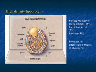 High density lipoprotein- Surface Monolayer Phospholipids (25%) Free Cholesterol (7%) Protein (45%) Promotes re-esterification process of cholesterol. 