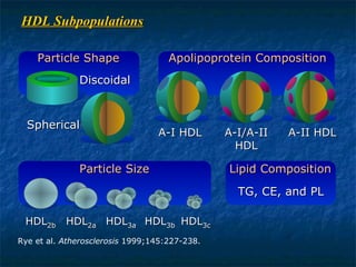 HDL Subpopulations Rye et al.  Atherosclerosis  1999;145:227-238. Apolipoprotein Composition A-I HDL A-I/A-II HDL A-II HDL Particle Shape Discoidal Spherical Lipid Composition TG, CE, and PL Particle Size HDL 2b HDL 2a HDL 3a HDL 3b HDL 3c 