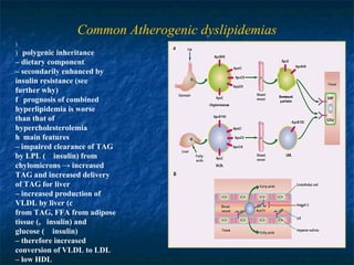 Common Atherogenic dyslipidemias ) 􀂃  polygenic inheritance –  dietary component –  secondarily enhanced by insulin resistance (see further why) 􀂃  prognosis of combined hyperlipidemia is worse than that of hypercholesterolemia 􀂃  main features –  impaired clearance of TAG by LPL (􀀪 insulin) from chylomicrons -> increased TAG and increased delivery of TAG for liver –  increased production of VLDL by liver (􀀪 insulin) from TAG, FFA from adipose tissue (􀀪 insulin) and glucose (􀀪 insulin) –  therefore increased conversion of VLDL to LDL –  low HDL 
