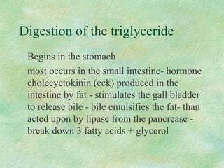 Digestion of the triglyceride 
 Begins in the stomach 
 most occurs in the small intestine- hormone 
cholecyctokinin (cck) produced in the 
intestine by fat - stimulates the gall bladder 
to release bile - bile emulsifies the fat- than 
acted upon by lipase from the pancrease - 
break down 3 fatty acids + glycerol 
 
