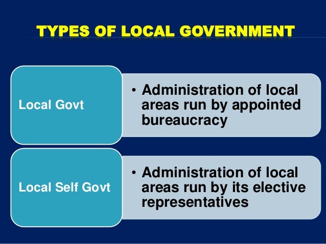 What are four types of local government?