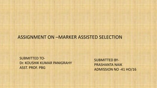 ASSIGNMENT ON –MARKER ASSISTED SELECTION
SUBMITTED BY-
PRASHANTA NAIK
ADMISSION NO -41 HO/16
SUBMITTED TO-
Dr. KOUSHIK KUMAR PANIGRAHY
ASST. PROF. PBG
 