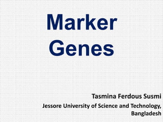 Marker
Genes
Tasmina Ferdous Susmi
Jessore University of Science and Technology,
Bangladesh
 