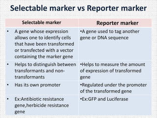 Presentation on marker genes
