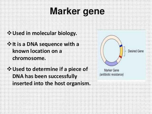 Presentation on marker genes