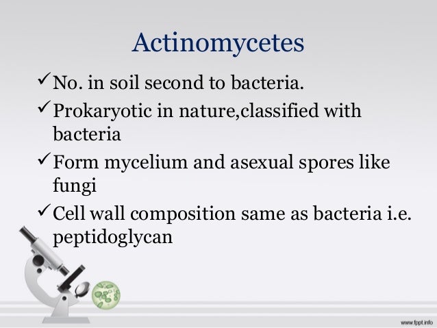 Chloromycetin A New Antibiotic From A Soil Actinomycete