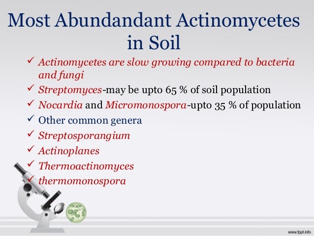 Chloromycetin A New Antibiotic From A Soil Actinomycete