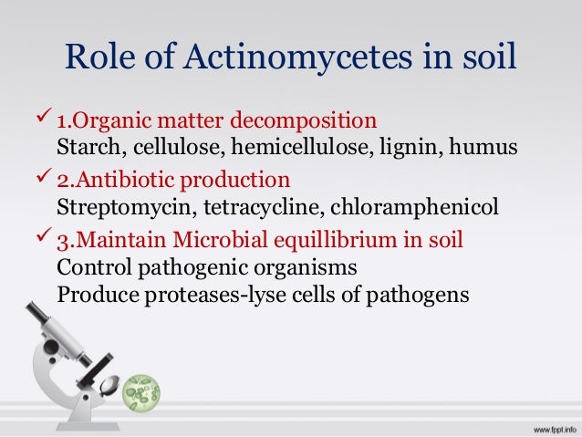Chloromycetin A New Antibiotic From A Soil Actinomycete