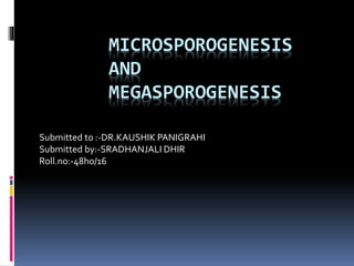 MICROSPOROGENESIS
AND
MEGASPOROGENESIS
Submitted to :-DR.KAUSHIK PANIGRAHI
Submitted by:-SRADHANJALI DHIR
Roll.no:-48ho/16
 