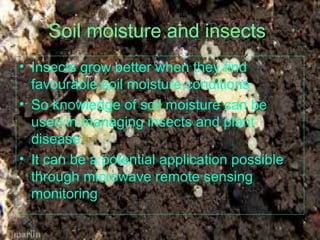 Soil moisture and insects
• Insects grow better when they find
favourable soil moisture conditions
• So knowledge of soil moisture can be
used in managing insects and plant
disease
• It can be a potential application possible
through microwave remote sensing
monitoring
i
 