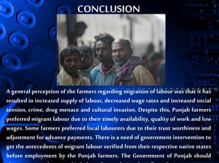 Presentation on migrate labour in punjab | PPT
