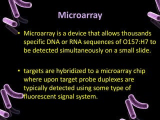 Molecular Techniques Application for E.Coli O157:H7 Detection | PPTX ...