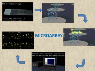 Molecular Techniques Application for E.Coli O157:H7 Detection | PPTX