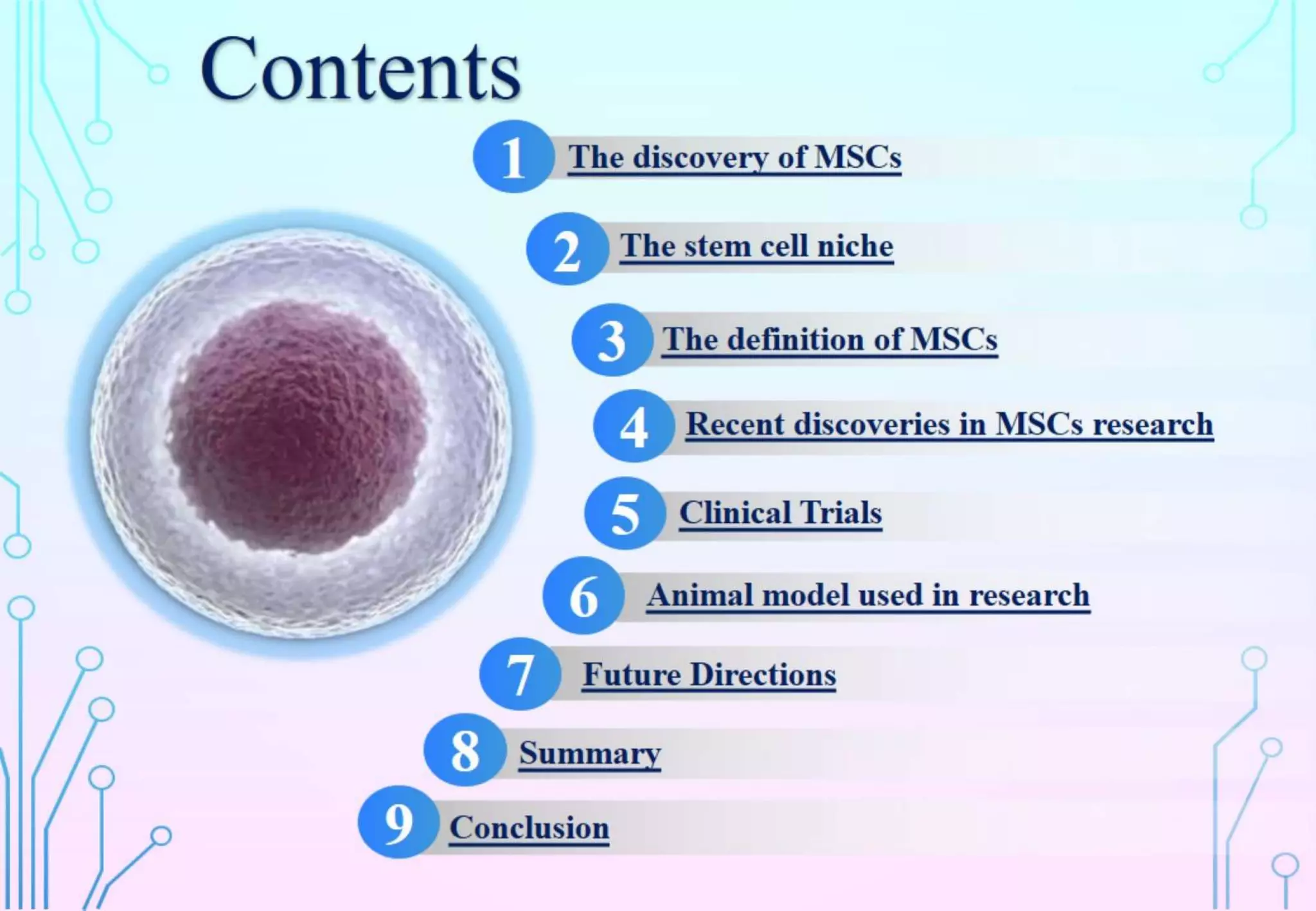 Presentation on mesenchymal stem cells and tissue regeneration. | PPTX