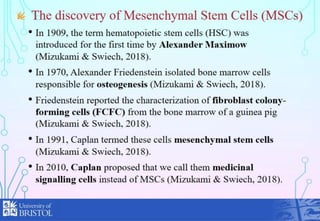 Presentation on mesenchymal stem cells and tissue regeneration. | PPTX