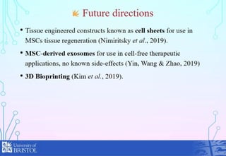 Presentation on mesenchymal stem cells and tissue regeneration. | PPTX