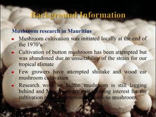 Button Mushroom cultivation.ppt