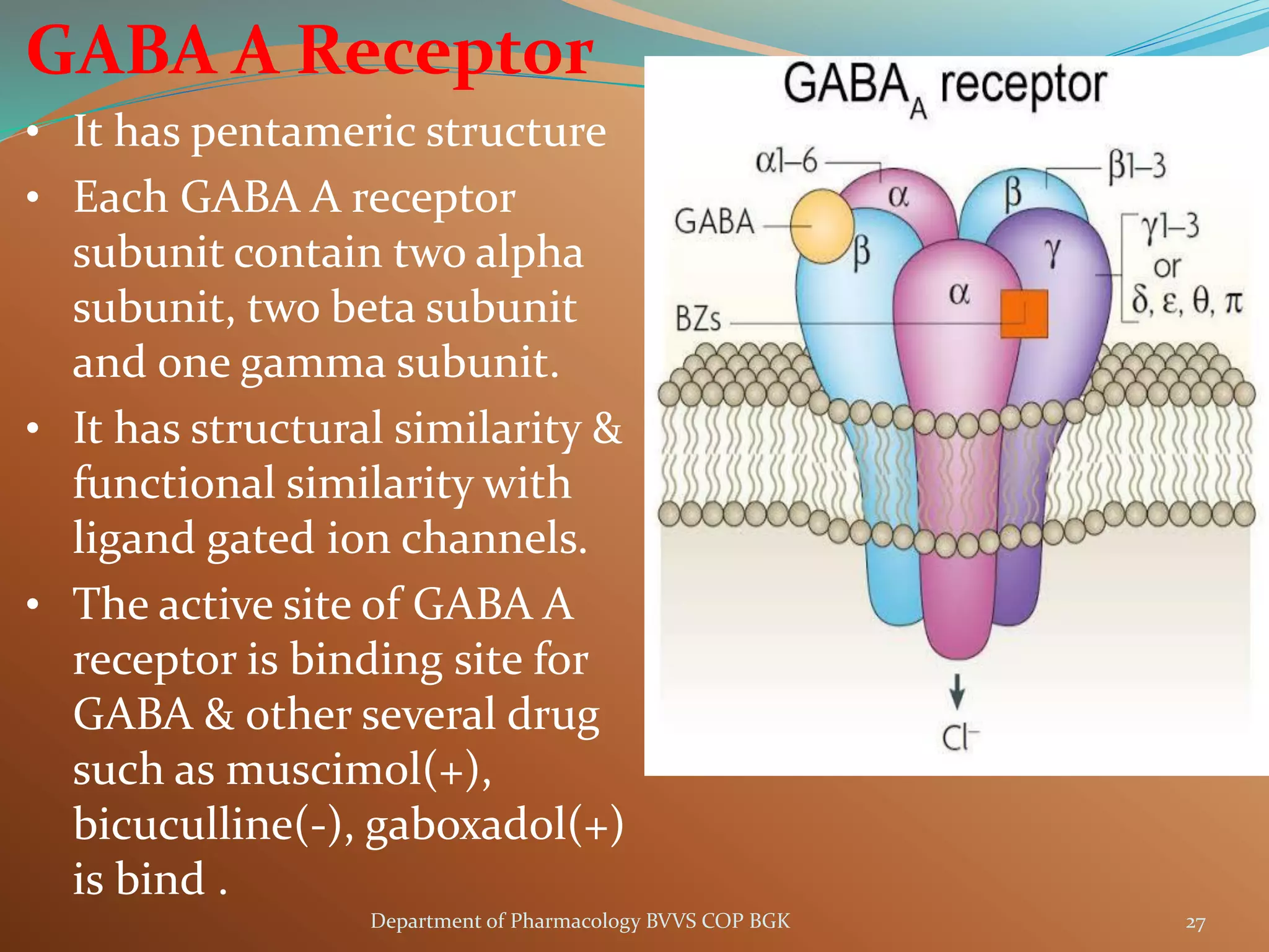 GABA A Receptor
• It has pentameric structure
• Each GABA A receptor
subunit contain two alpha
subunit, two beta subunit
and one gamma subunit.
• It has structural similarity &
functional similarity with
ligand gated ion channels.
• The active site of GABA A
receptor is binding site for
GABA & other several drug
such as muscimol(+),
bicuculline(-), gaboxadol(+)
is bind .
27
Department of Pharmacology BVVS COP BGK
 