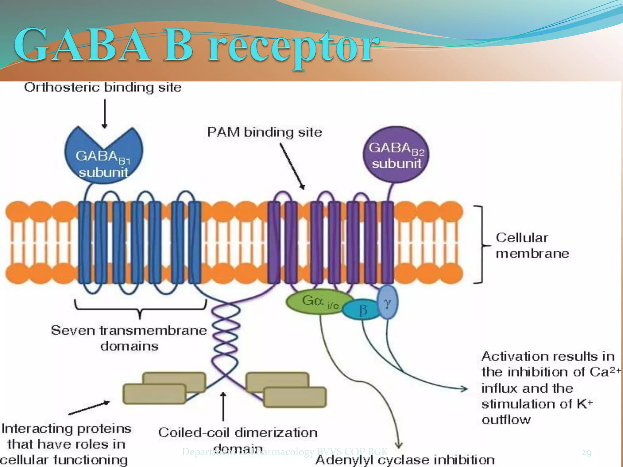 29
Department of Pharmacology BVVS COP BGK
 