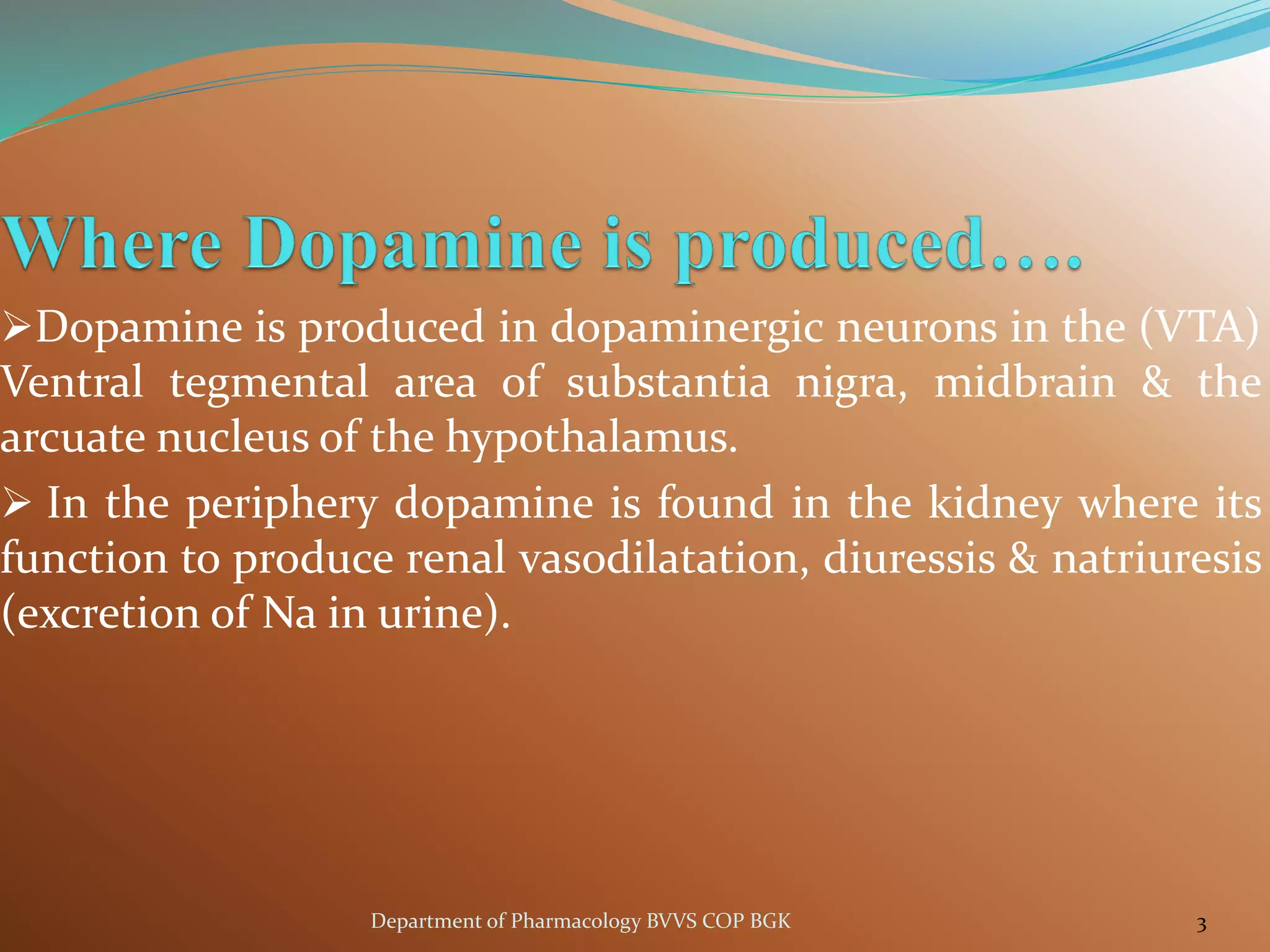 ➢Dopamine is produced in dopaminergic neurons in the (VTA)
Ventral tegmental area of substantia nigra, midbrain & the
arcuate nucleus of the hypothalamus.
➢ In the periphery dopamine is found in the kidney where its
function to produce renal vasodilatation, diuressis & natriuresis
(excretion of Na in urine).
3
Department of Pharmacology BVVS COP BGK
 