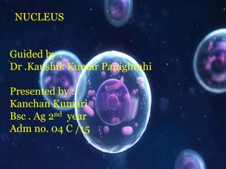 NUCLEUS
Guided by :
Dr .Kaushik Kumar Panighrahi
Presented by :
Kanchan Kumari
Bsc . Ag 2nd year
Adm no. 04 C /15
 