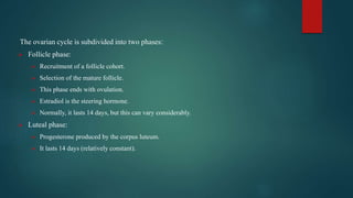 The ovarian cycle is subdivided into two phases:
 Follicle phase:
 Recruitment of a follicle cohort.
 Selection of the mature follicle.
 This phase ends with ovulation.
 Estradiol is the steering hormone.
 Normally, it lasts 14 days, but this can vary considerably.
 Luteal phase:
 Progesterone produced by the corpus luteum.
 It lasts 14 days (relatively constant).
 