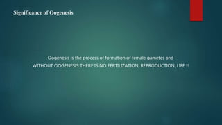 Significance of Oogenesis
Oogenesis is the process of formation of female gametes and
WITHOUT OOGENESIS THERE IS NO FERTILIZATION, REPRODUCTION, LIFE !!
 