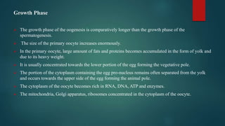 Growth Phase
 The growth phase of the oogenesis is comparatively longer than the growth phase of the
spermatogenesis.
 The size of the primary oocyte increases enormously.
 In the primary oocyte, large amount of fats and proteins becomes accumulated in the form of yolk and
due to its heavy weight.
 It is usually concentrated towards the lower portion of the egg forming the vegetative pole.
 The portion of the cytoplasm containing the egg pro-nucleus remains often separated from the yolk
and occurs towards the upper side of the egg forming the animal pole.
 The cytoplasm of the oocyte becomes rich in RNA, DNA, ATP and enzymes.
 The mitochondria, Golgi apparatus, ribosomes concentrated in the cytoplasm of the oocyte.
 