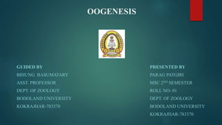 OOGENESIS
GUIDED BY PRESENTED BY
BIHUNG BASUMATARY PARAG PATGIRI
ASST. PROFESSOR MSC 2ND SEMESTER
DEPT. OF ZOOLOGY ROLL NO- 01
BODOLAND UNIVERSITY DEPT. OF ZOOLOGY
KOKRAJHAR-783370 BODOLAND UNIVERSITY
KOKRAJHAR-783370
 