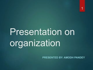 Presentation on
organization
PRESENTED BY: AMODH PANDEY
1
 