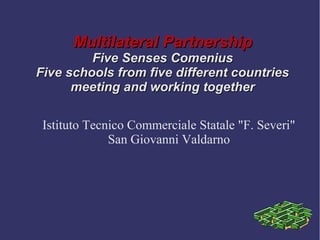 Multilateral Partnership

Five Senses Comenius
Five schools from five different countries
meeting and working together
Istituto Tecnico Commerciale Statale "F. Severi"
San Giovanni Valdarno

 