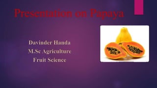 Presentation on Papaya
 