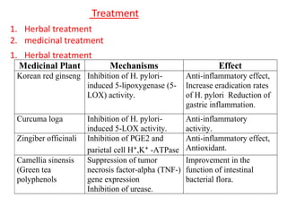 Treatment
1. Herbal treatment
2. medicinal treatment
1. Herbal treatment
Medicinal Plant Mechanisms Effect
Korean red ginseng Inhibition of H. pylori-
induced 5-lipoxygenase (5-
LOX) activity.
Anti-inflammatory effect,
Increase eradication rates
of H. pylori Reduction of
gastric inflammation.
Curcuma loga Inhibition of H. pylori-
induced 5-LOX activity.
Anti-inflammatory
activity.
Zingiber officinali Inhibition of PGE2 and
parietal cell H+,K+ -ATPase
Anti-inflammatory effect,
Antioxidant.
Camellia sinensis
(Green tea
polyphenols
Suppression of tumor
necrosis factor-alpha (TNF-)
gene expression
Inhibition of urease.
Improvement in the
function of intestinal
bacterial flora.
 