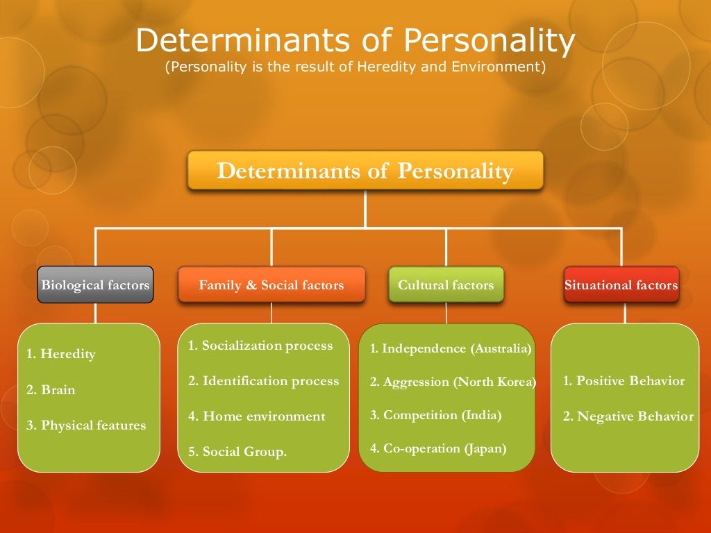 Presentation on personality and its impact on behavior