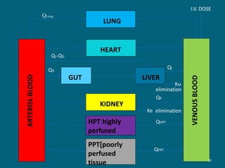 LUNG
HEART
GUT LIVER
KIDNEY
HPT highly
perfused
PPT[poorly
perfused
tissue
VENOUSBLOOD
ARTERISLBLOOD
QLung
QL-QG
QG
QL
QK
QHPT
QPPT
I.V. DOSE
KM
Ke
elimination
elimination
16
 
